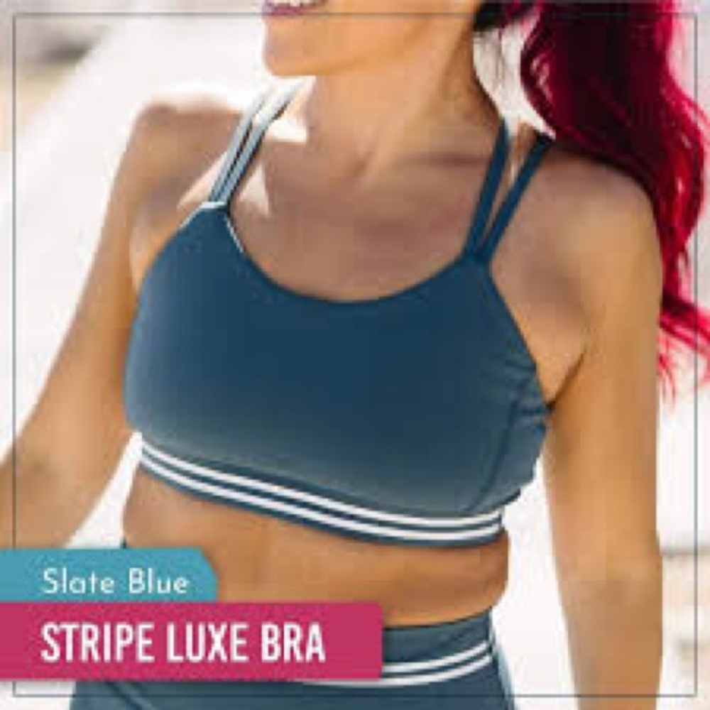 Zyia Active Slate Blue Stripe Luxe Bra - size XL